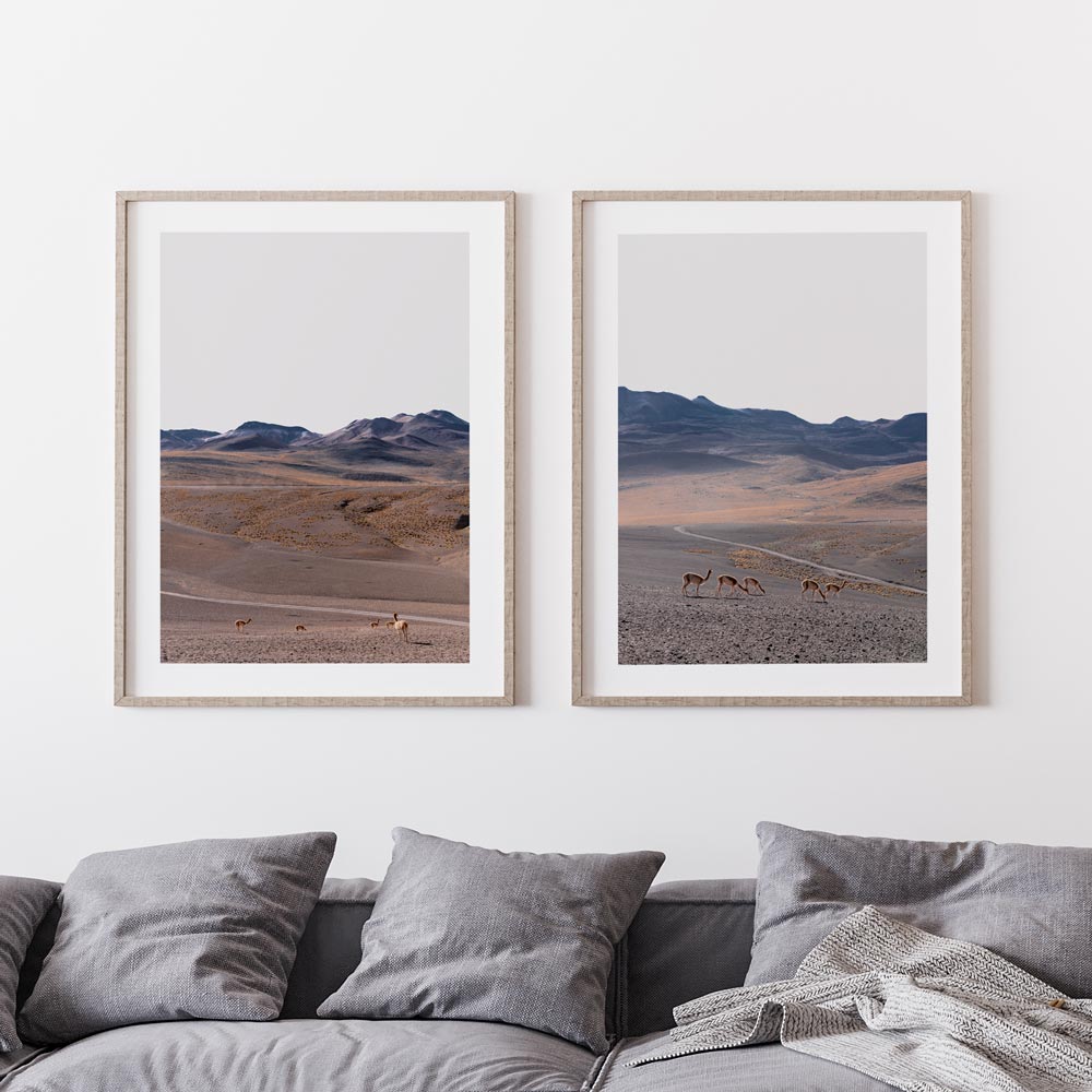 Set of 2 - Vicuna Safari I & II