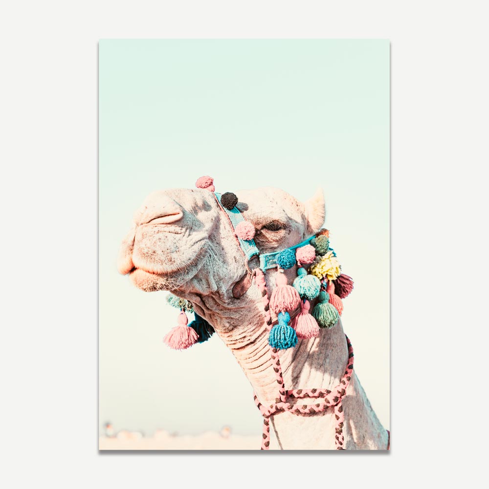 A photograph of a camel's head adorned with colorful decorations, taken against a bright background.