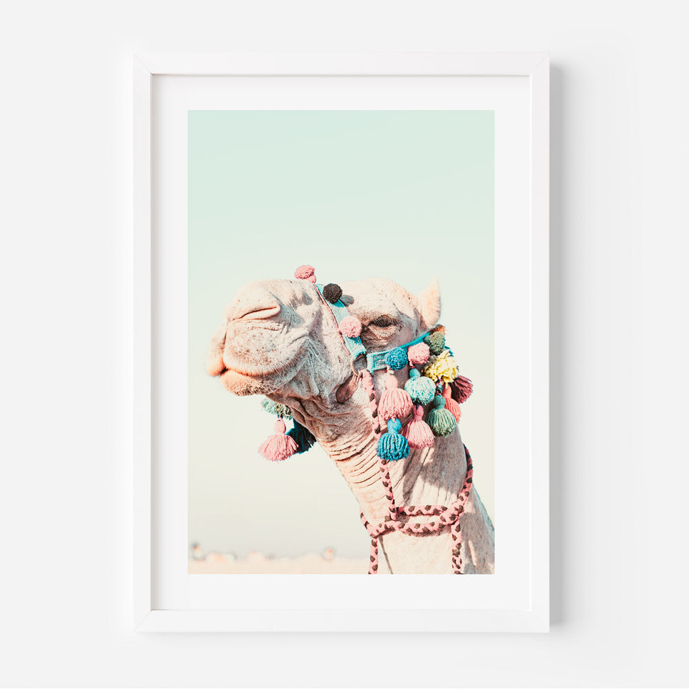 Camel of Cairo Art Print