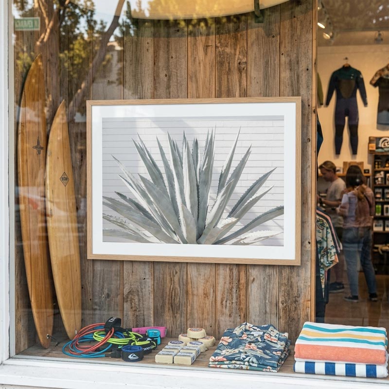 Blue Agave Art Print