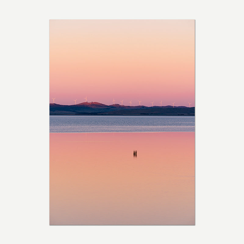 Pink George Art Print