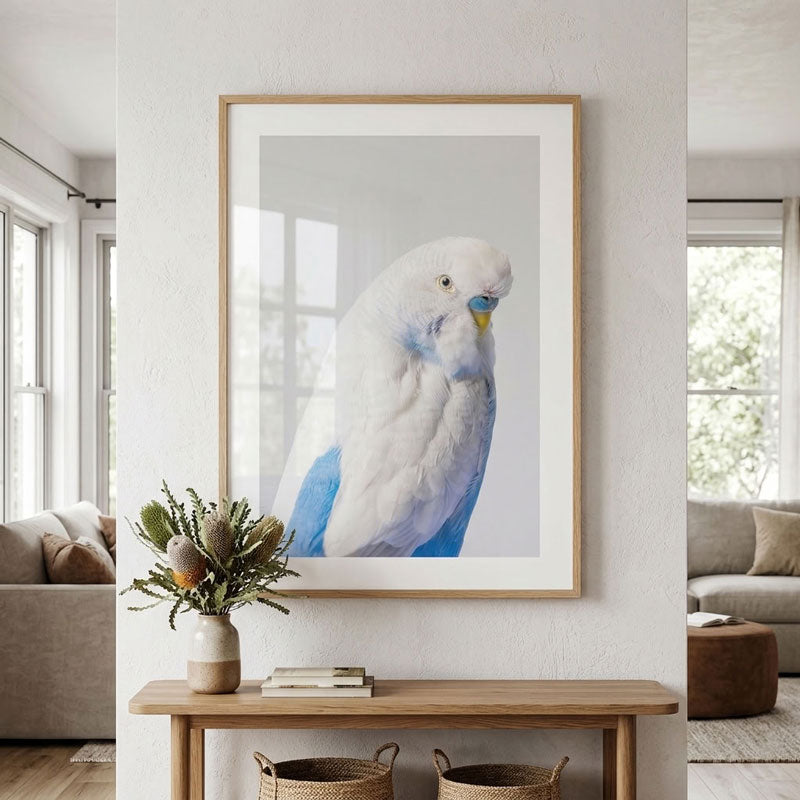 A framed art print of a white and blue cockatoo hanging on a white wall in a modern living room setting above a wooden console table.