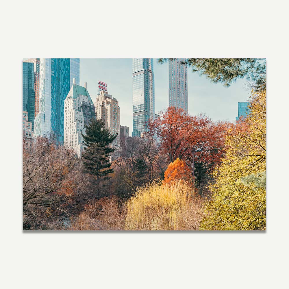 Autumn in Central Park NYC Art Print