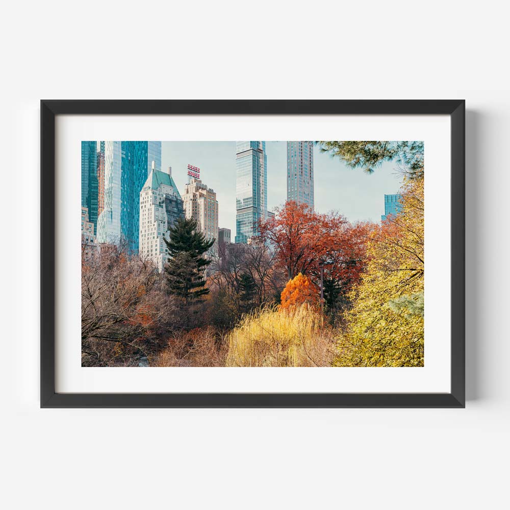 Autumn in Central Park NYC Art Print