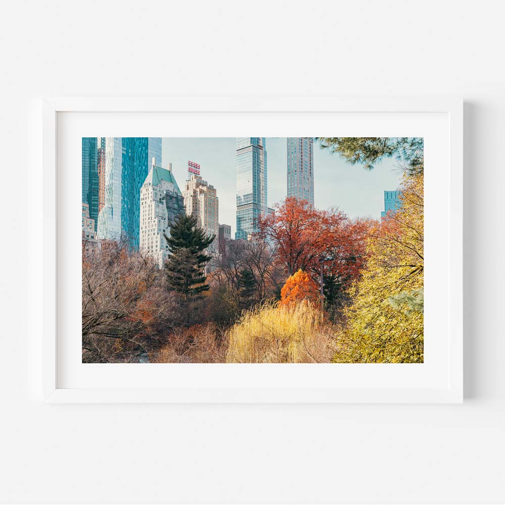 Autumn in Central Park NYC Art Print