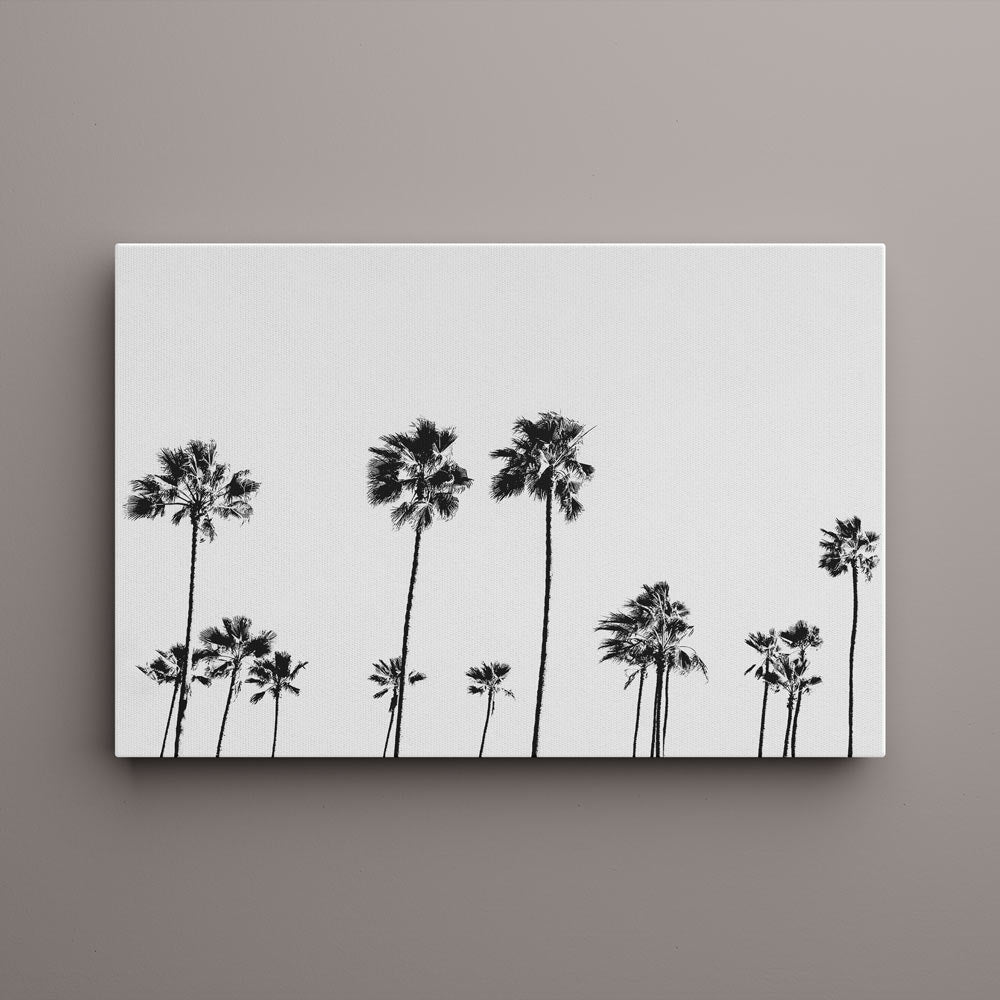 BW LA Palms Canvas Art