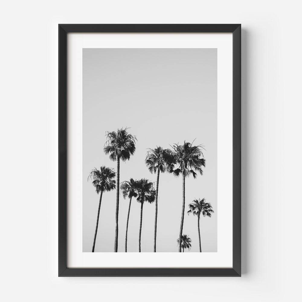 Escape to the golden coast with this mesmerizing palm tree canvas from California - a stunning piece of wall art.