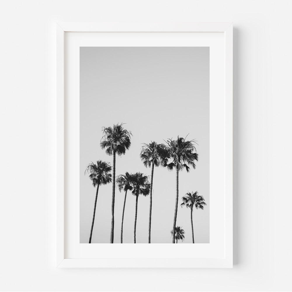 Feel the coastal breeze with this captivating canvas print of palm trees in California - ideal for wall art.