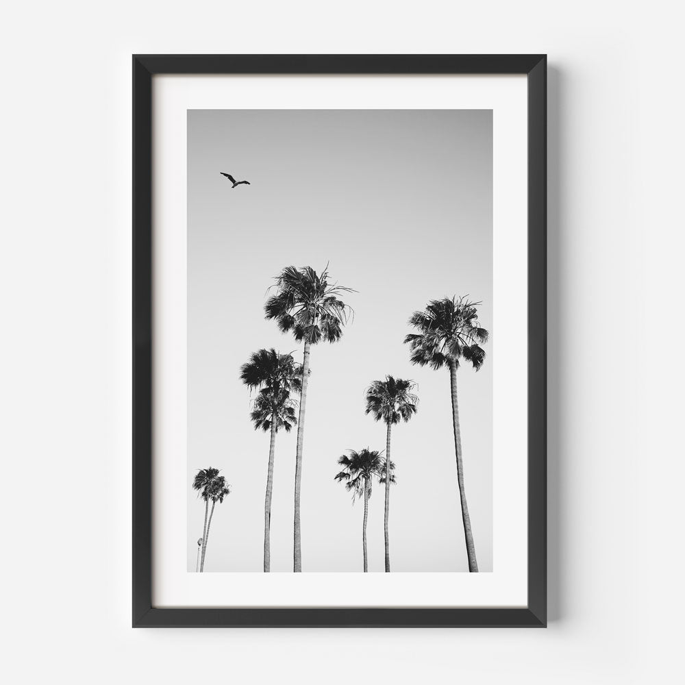 Breathtaking scenery of California's palm trees - Perfect for wall art and home decor.