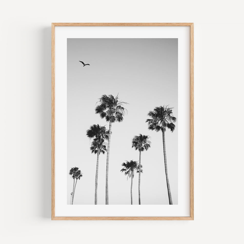 Majestic palm trees in California showcased in this stunning canvas print.