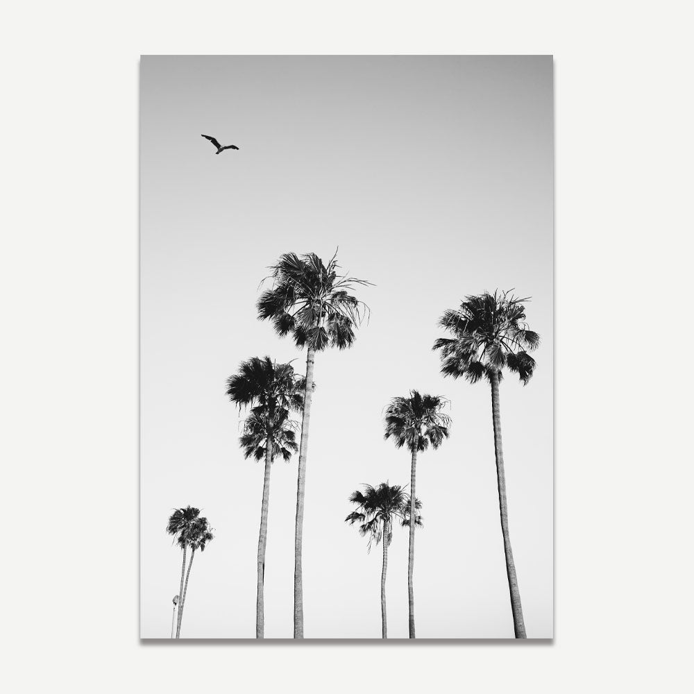 Enhance your living space with the tranquil charm of palm trees in California - Ideal for wall decor.