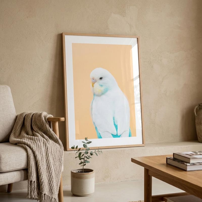 A framed art print of a white and light blue budgerigar parakeet against a warm beige background, styled in a cozy living room setting next to a wooden table and a beige armchair.