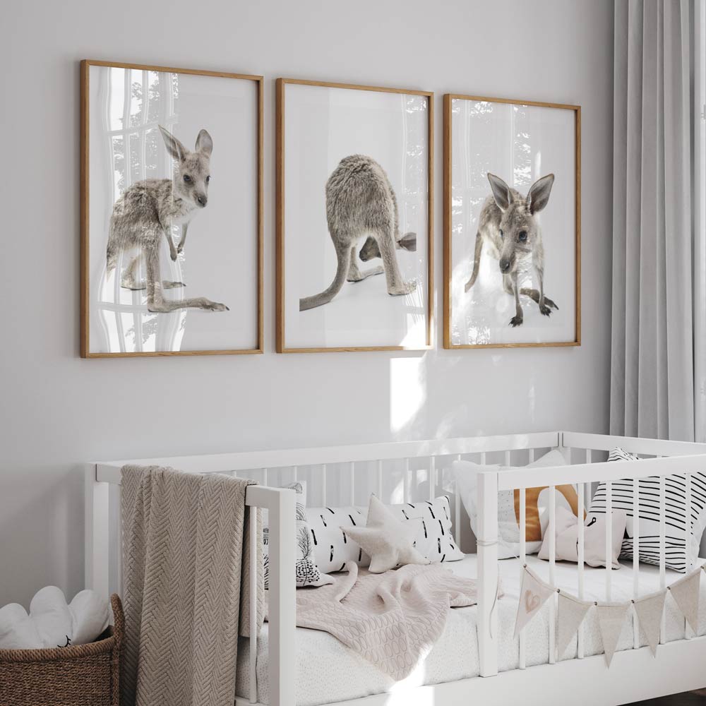 Baby Kangaroo Art Print