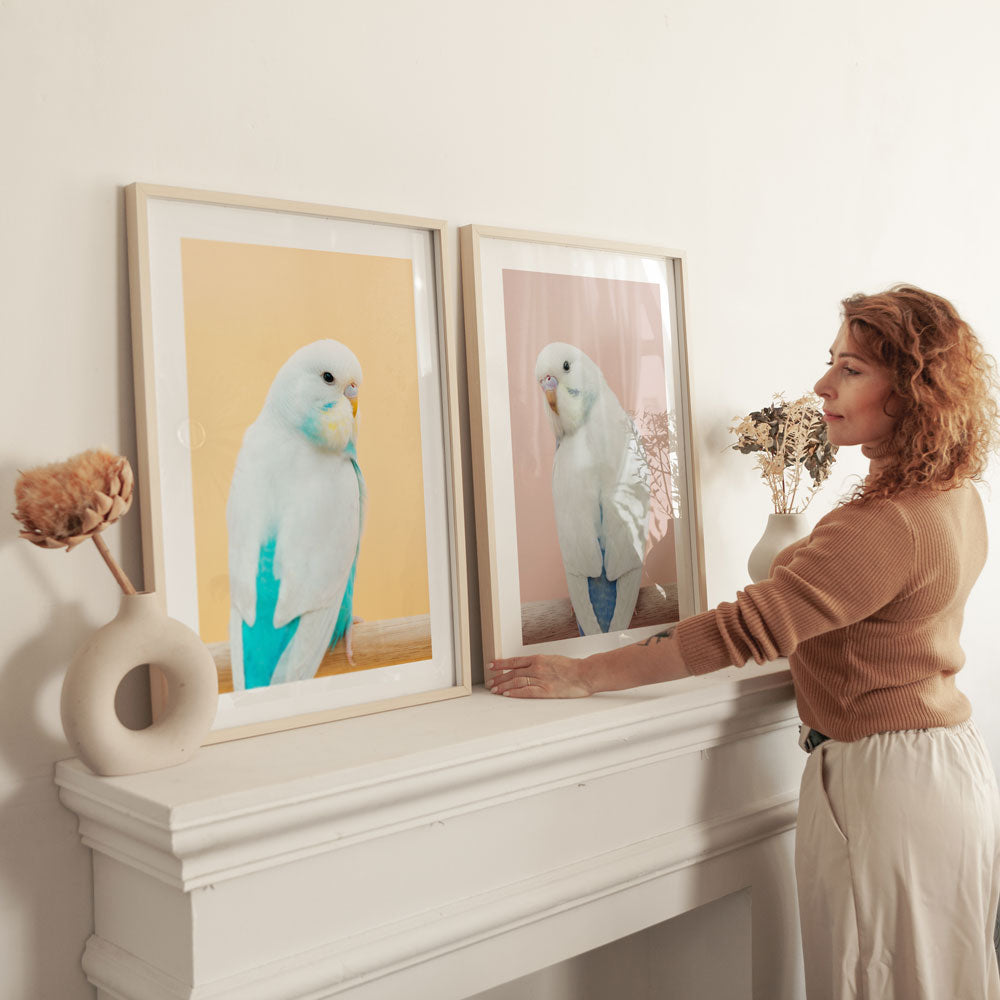 Baby Seafoam Budgie Art Print