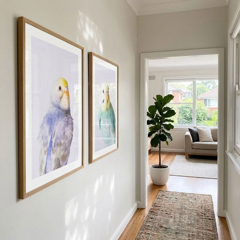 Two framed watercolor bird prints hang on a light gray wall in a hallway. The prints show a pale blue and yellow bird on the left and a green and yellow bird on the right, both in light wood frames.