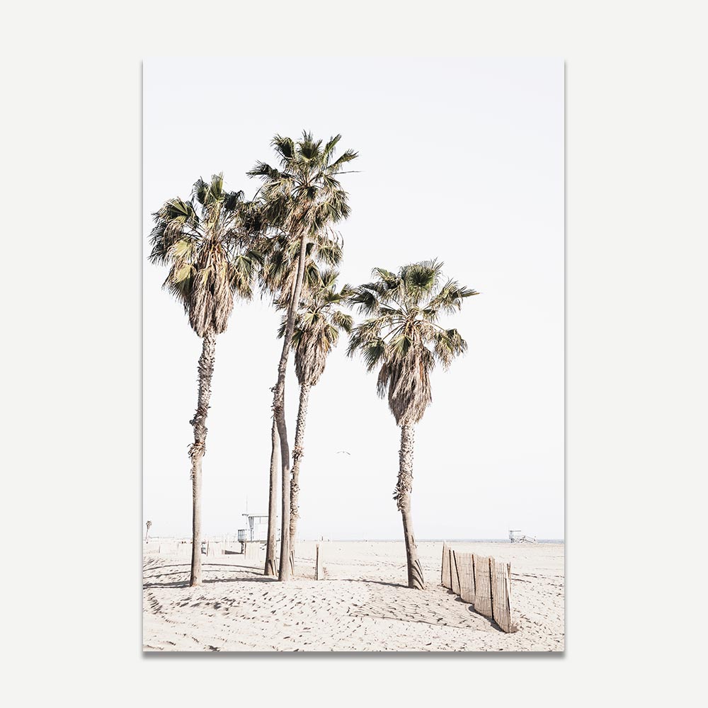 Set of 2 Art Prints - Ocean Park Palms & Ocean Park
