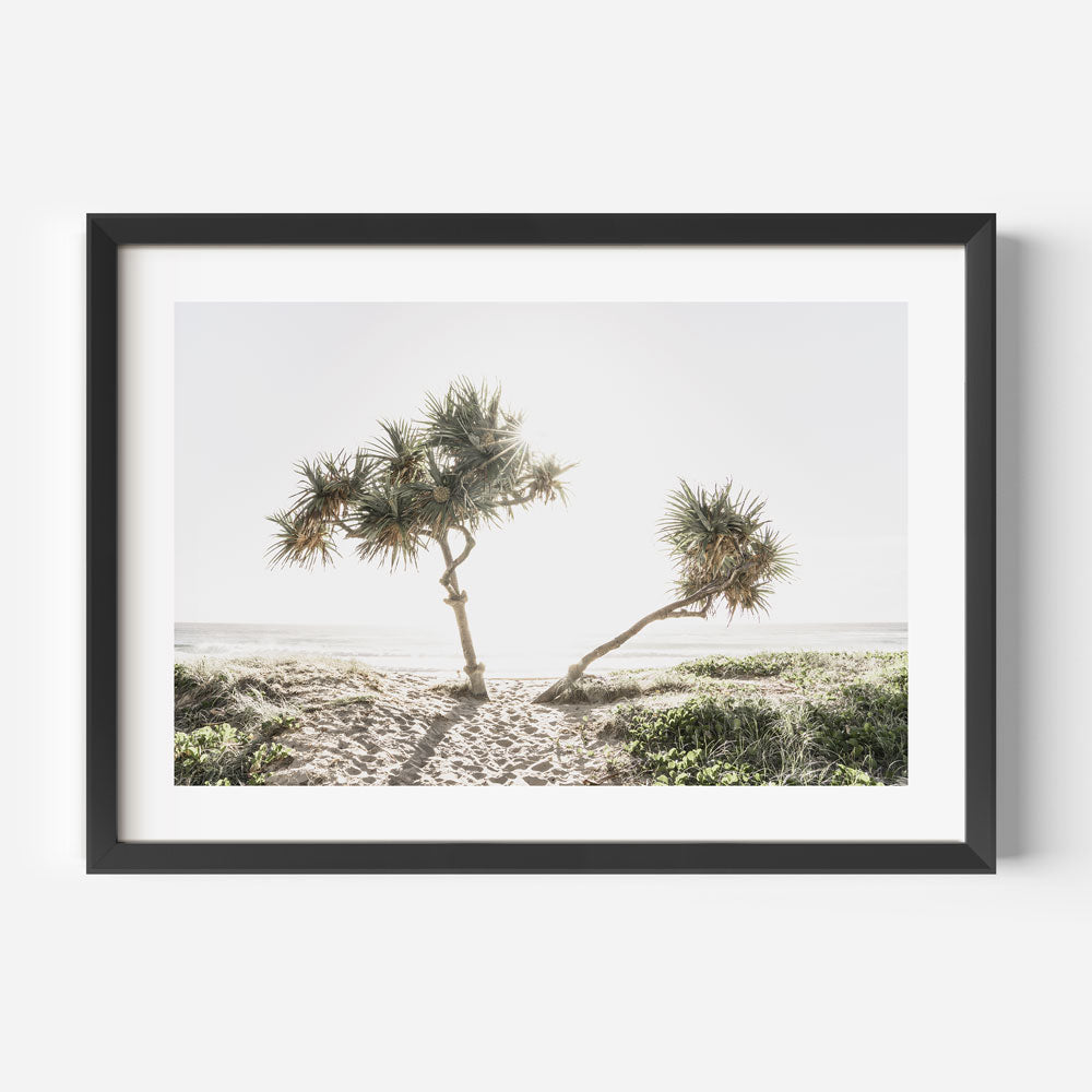 Sunrise at Gold Coast Art Print