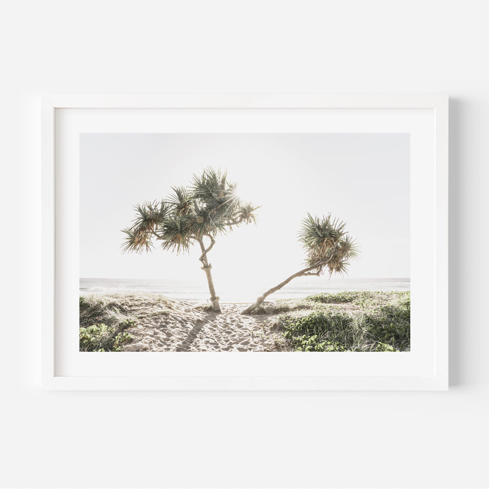 Sunrise at Gold Coast Art Print
