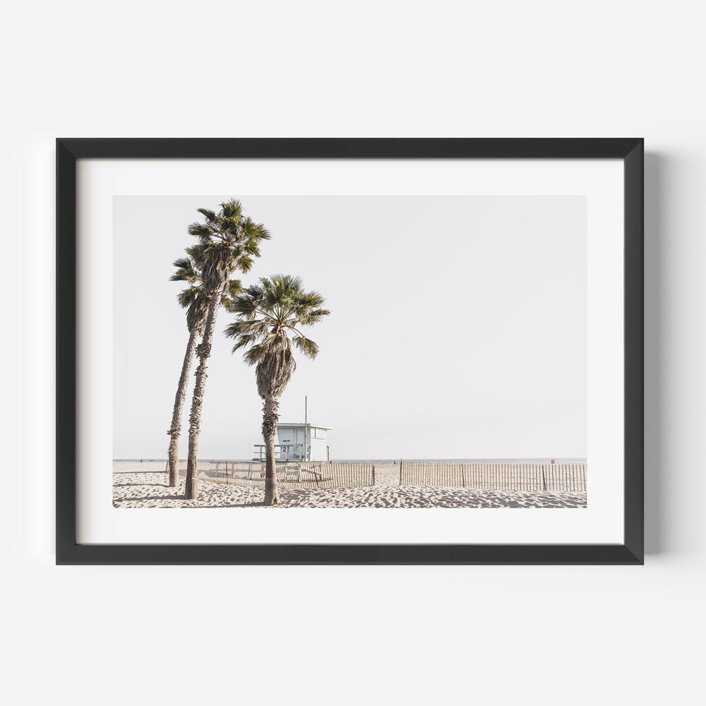 Ocean Park Beach palm trees and lifeguard hut, great for large wall art and home decor.