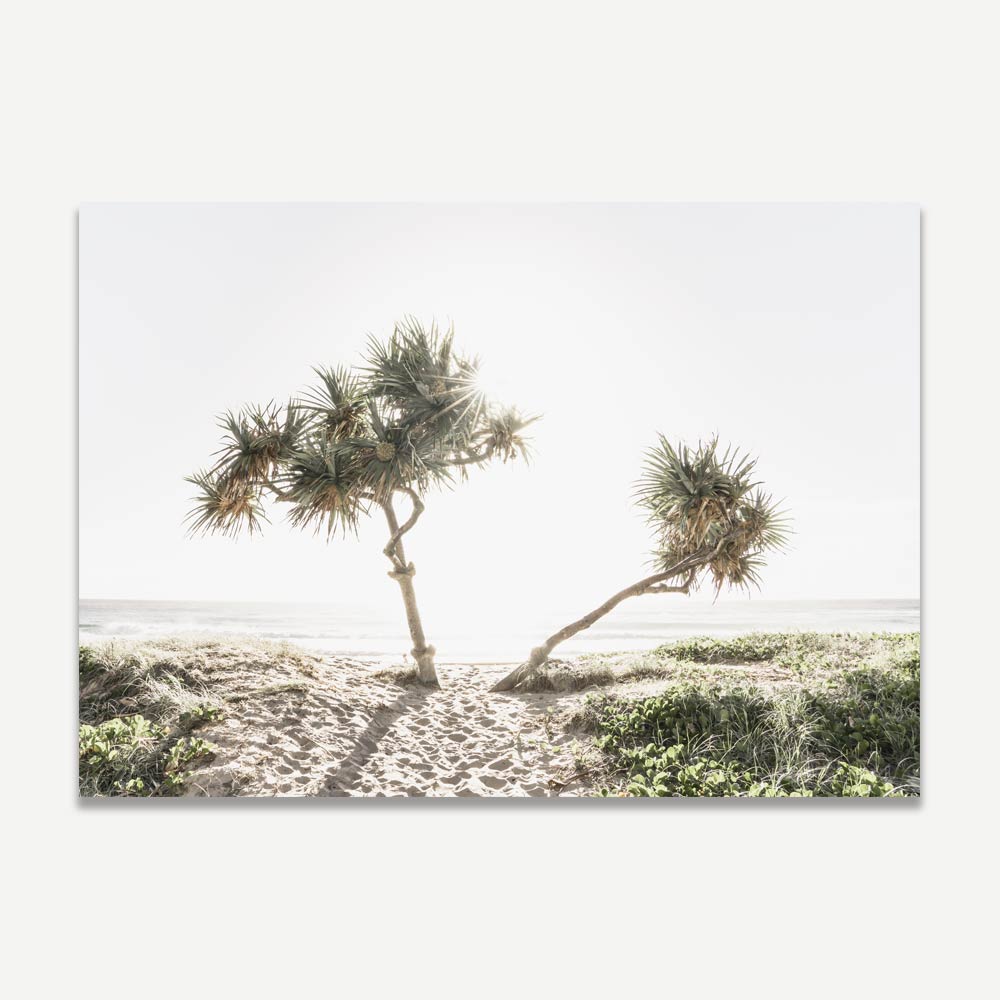 Sunrise at Gold Coast Art Print