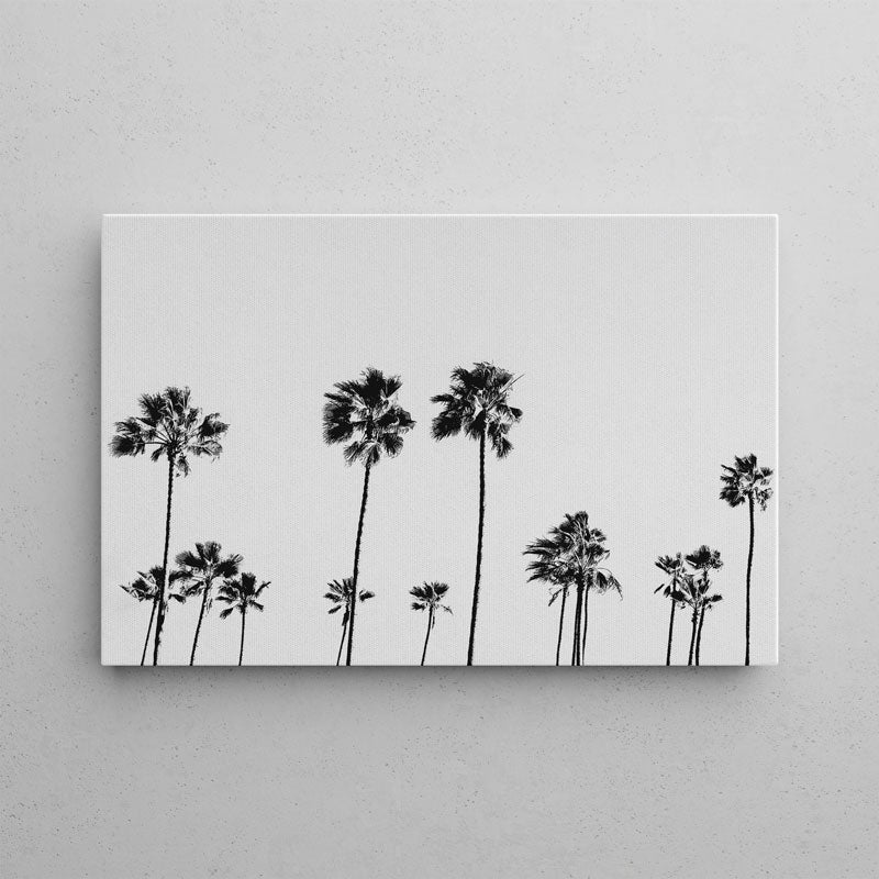 BW LA Palms Canvas Art