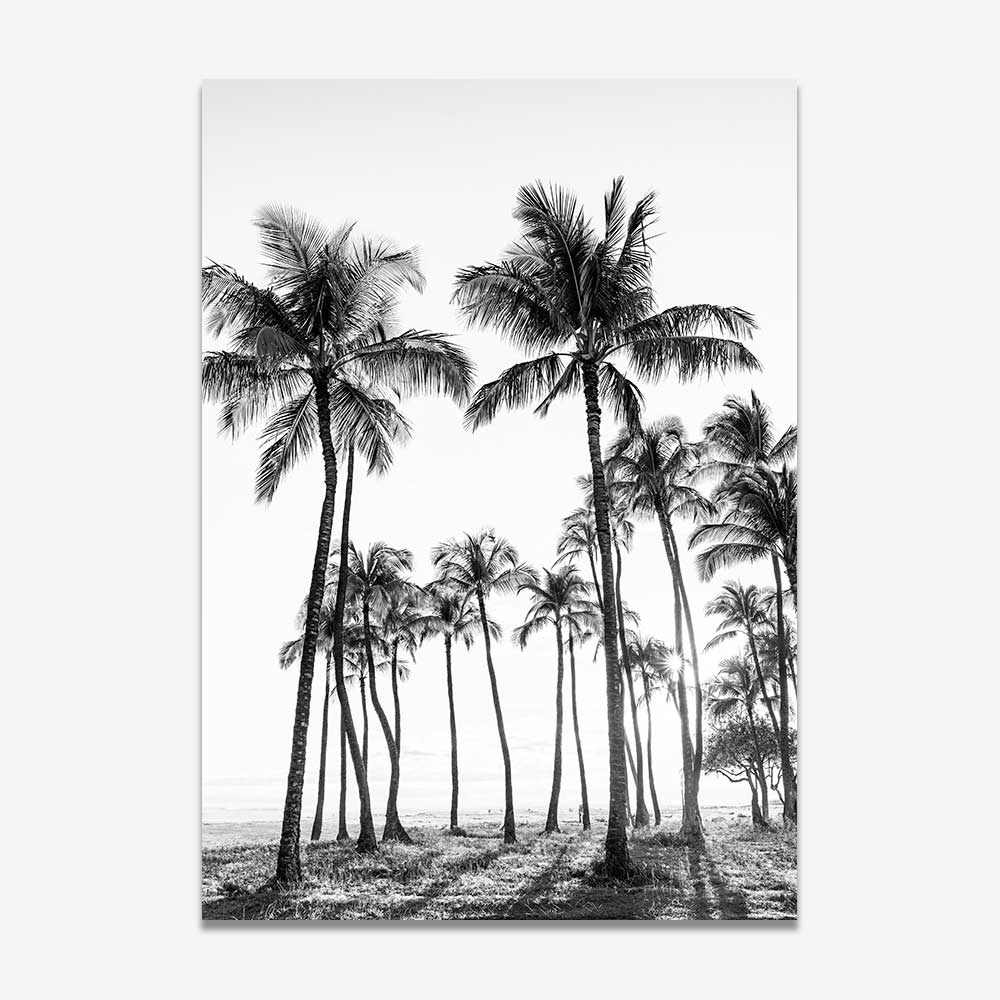 Palm Tree in Hawaii print