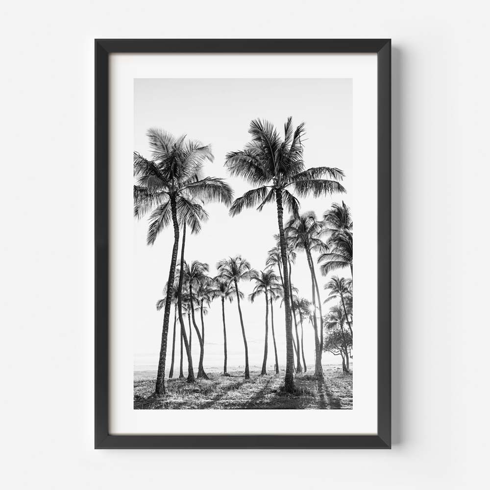 BW Waikiki Feels Art Print