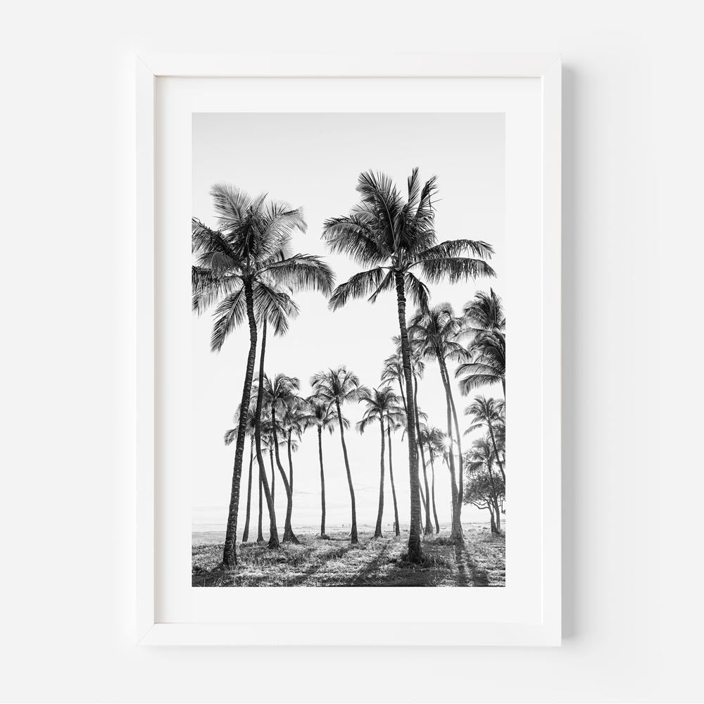 BW Waikiki Feels Art Print