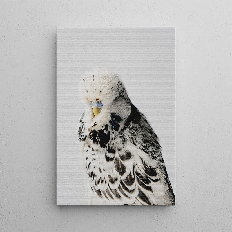 Budgerigar Canvas Art