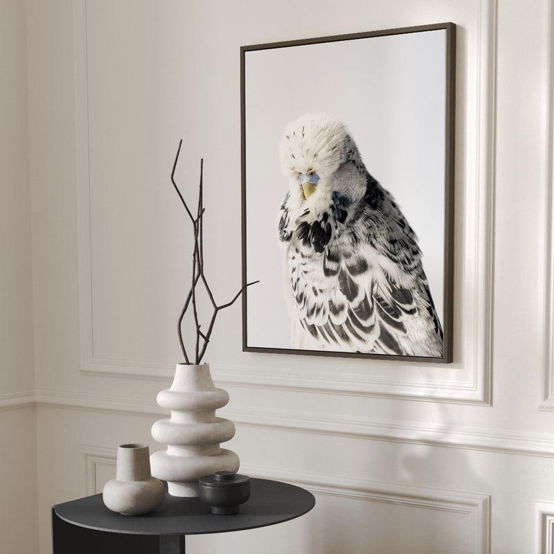 Budgerigar Canvas Art