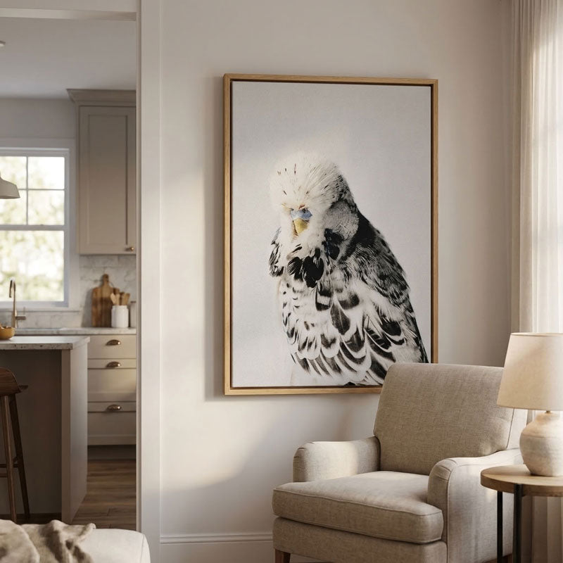 Budgerigar Canvas Art