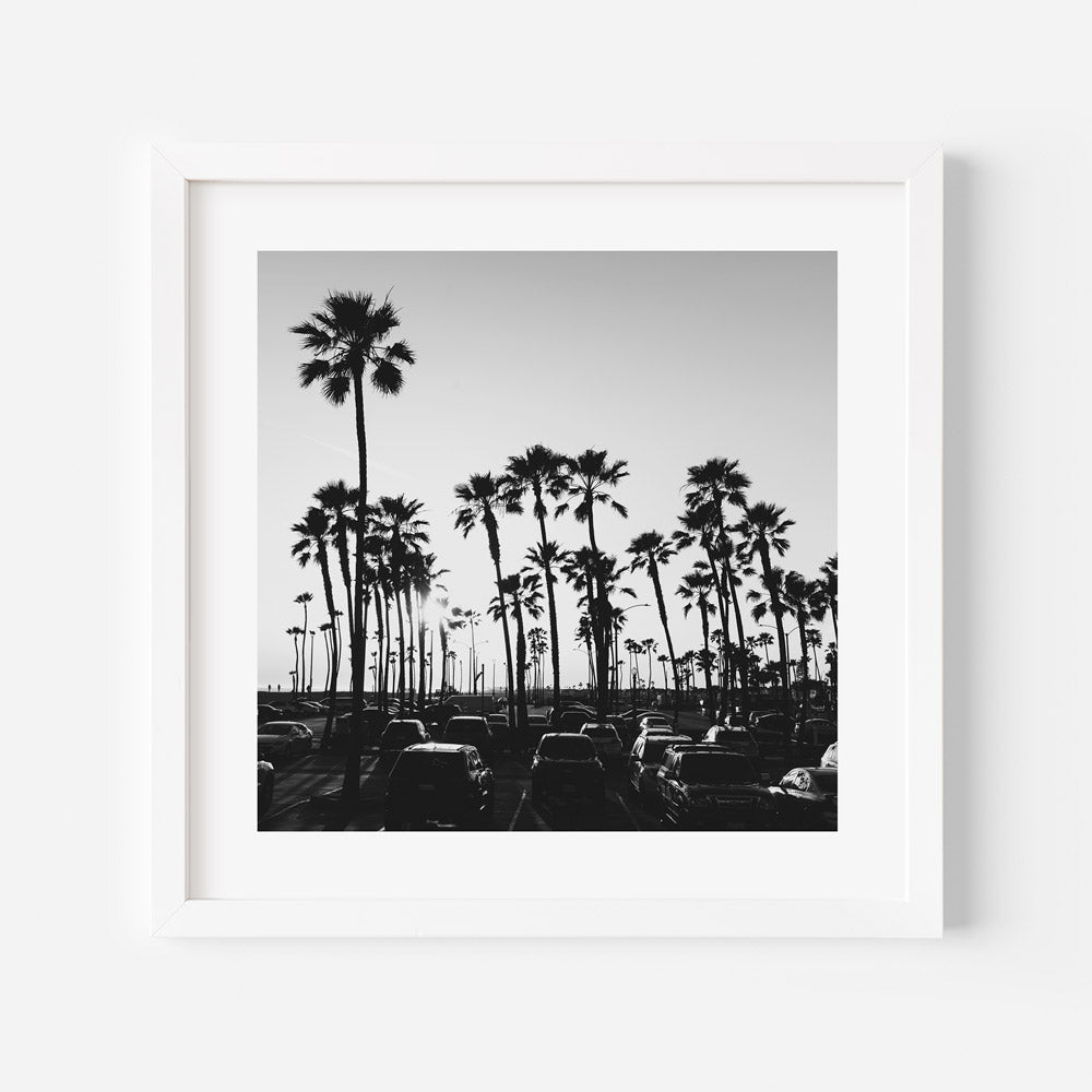 BW Balboa Palms Art Print
