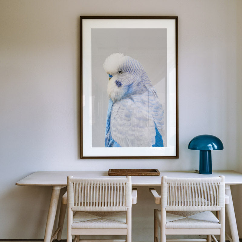 Framed artwork of a parrot on a wall above a dining table with chairs.