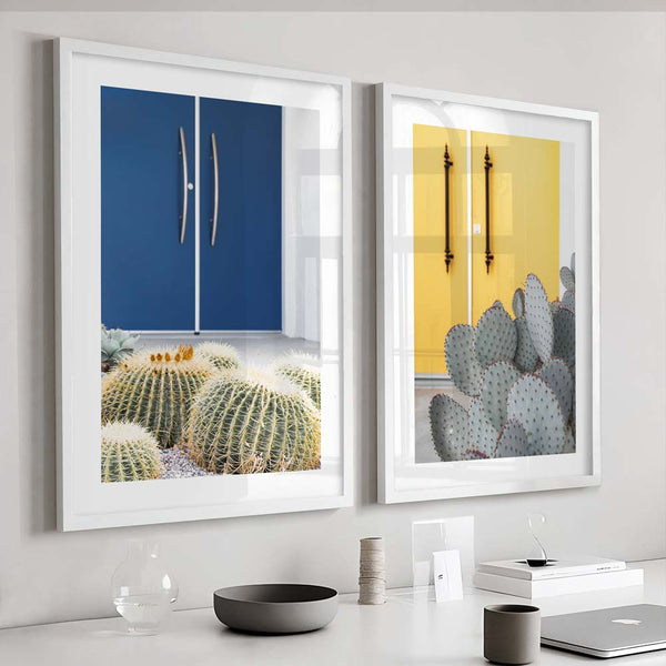 Blue Door Cactus