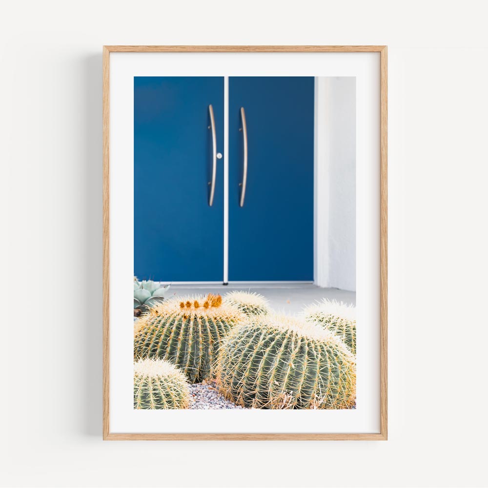 Blue Door Cactus
