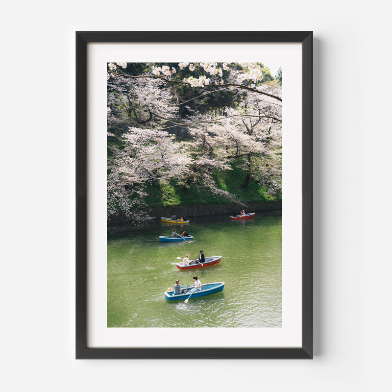 Boating Under Cherry Trees Art Print