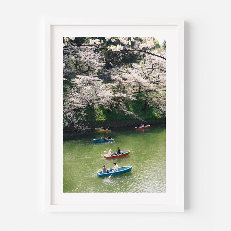 Boating Under Cherry Trees Art Print