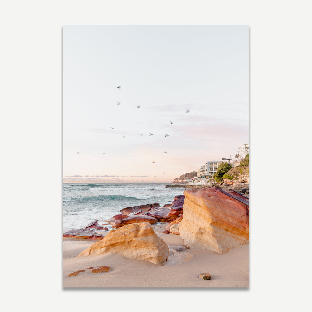 Morning at Rocks Bondi Beach Australia, birds flying over framed beach photo.