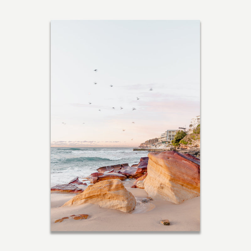 Bondi Rocks