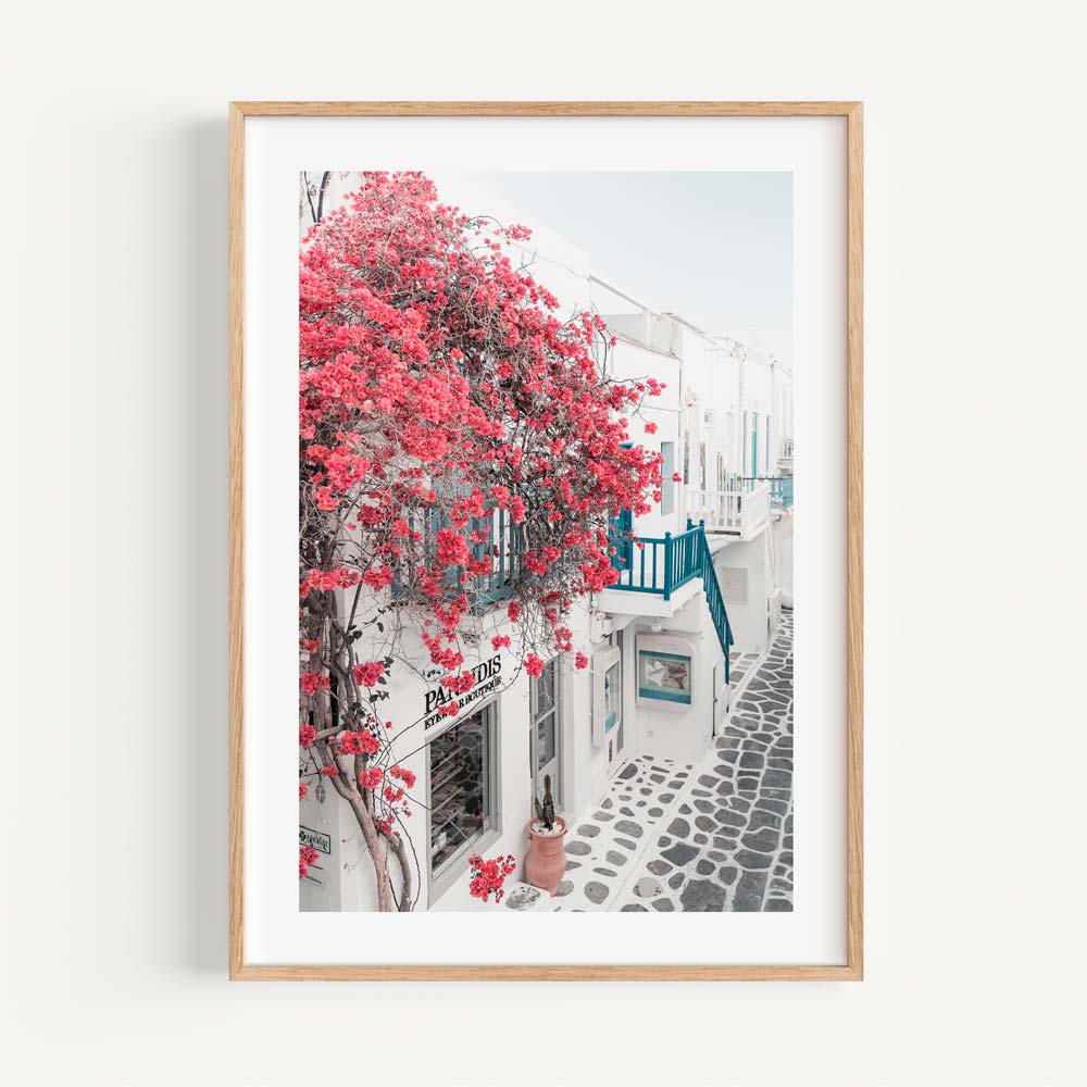 Bougainvillea Mykonos