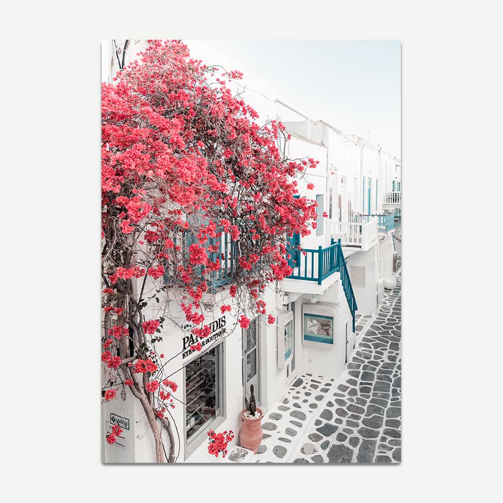 Pink Bougainvillea adorn the white building in Mykonos