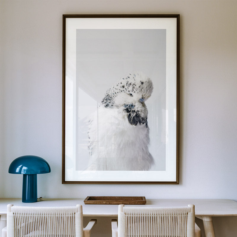 Texas Clear Body Budgerigar Art Print