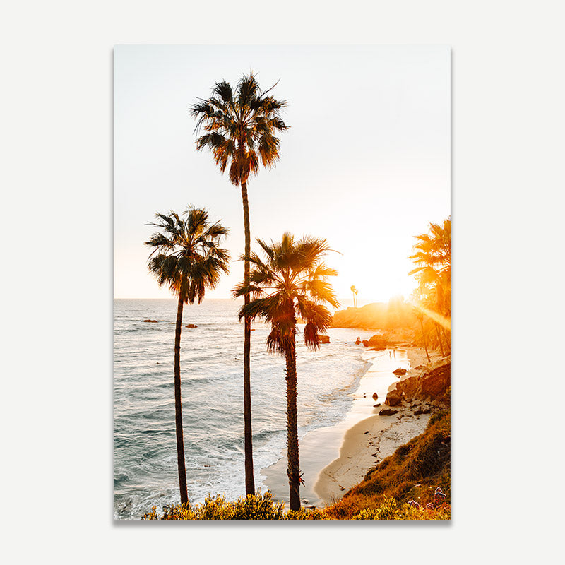 Beach scene with palm trees and sunset, on a white background