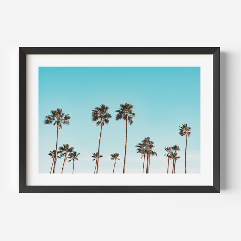 Captivating palm trees in a black frame against a blue sky - unique wall art from Oblongshop.