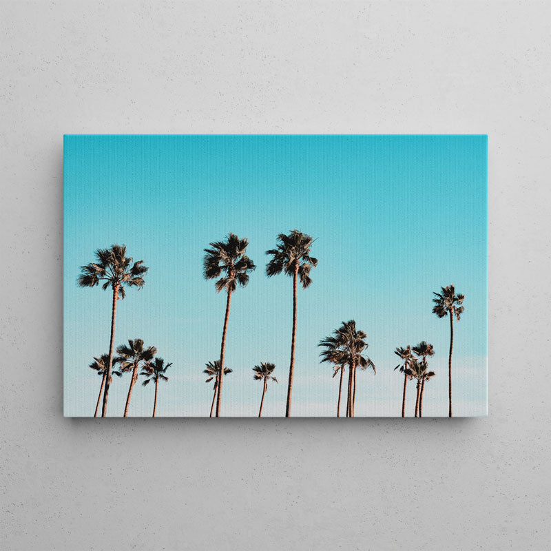 California Palms Canvas Art
