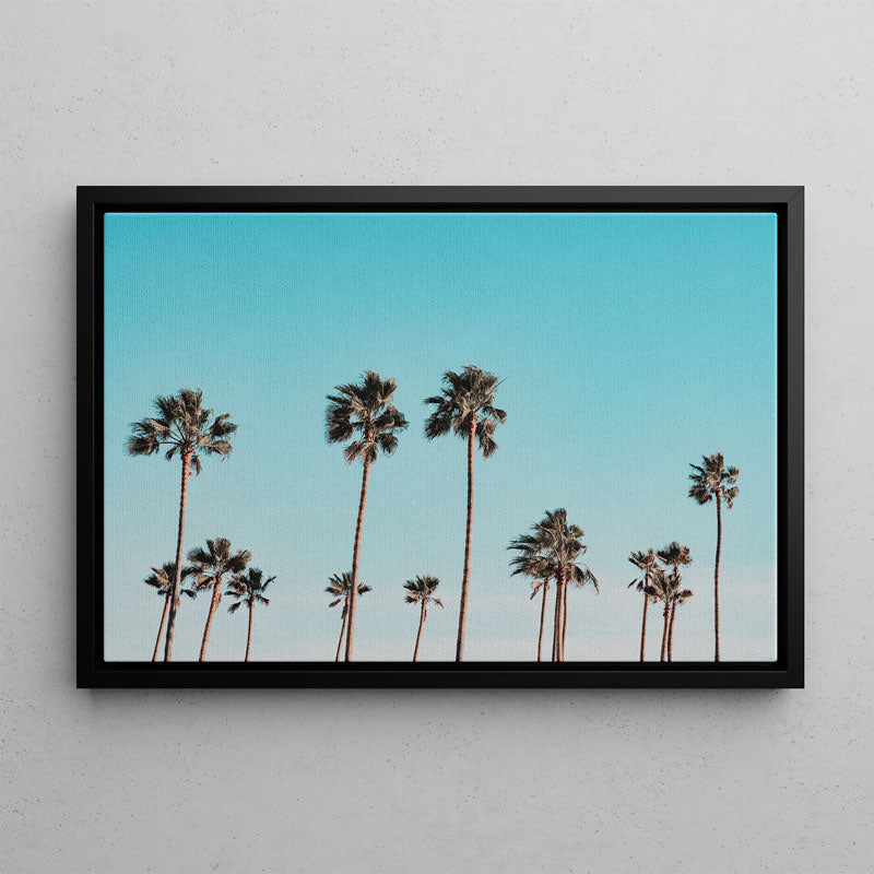 California Palms Canvas Art