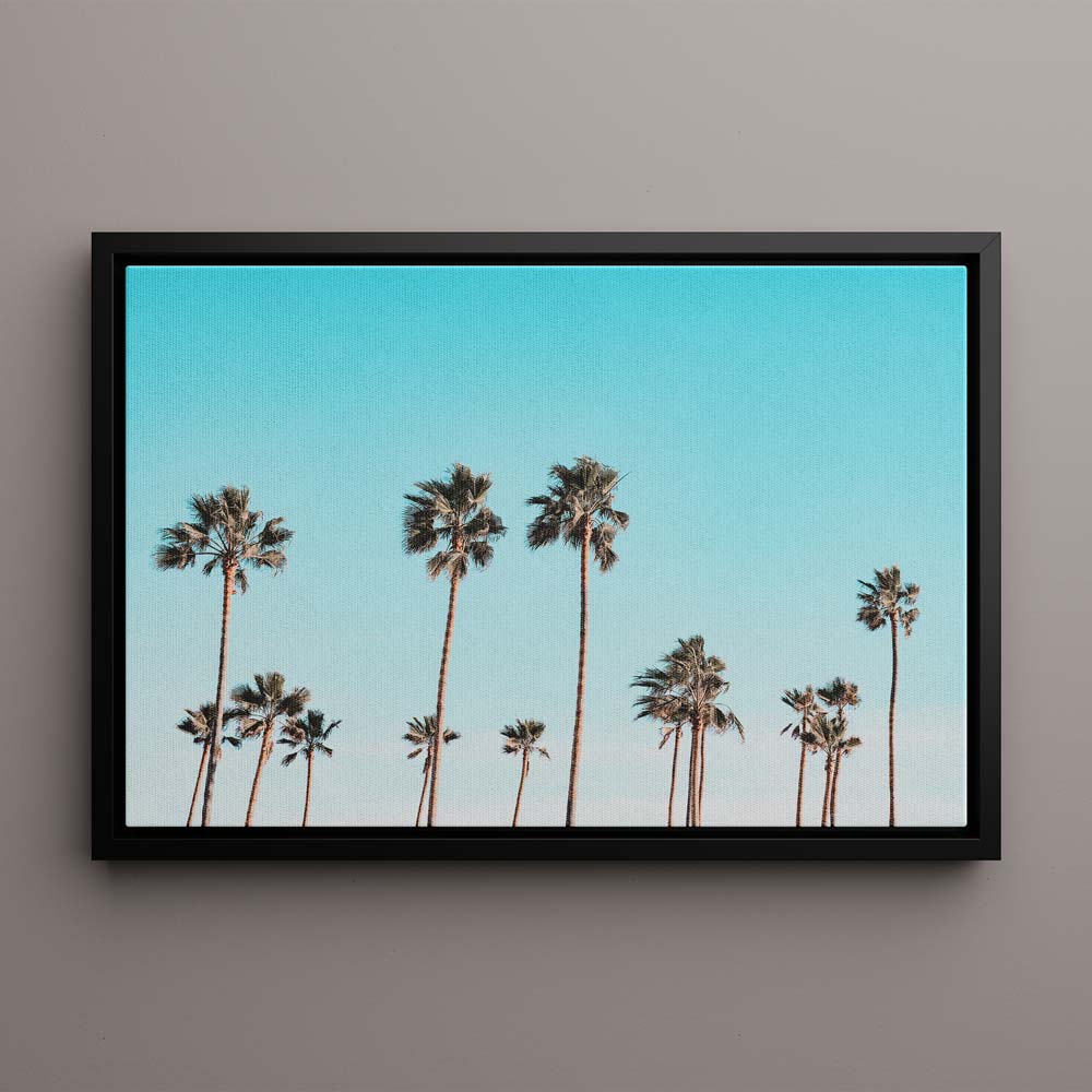 California Palms Canvas Art