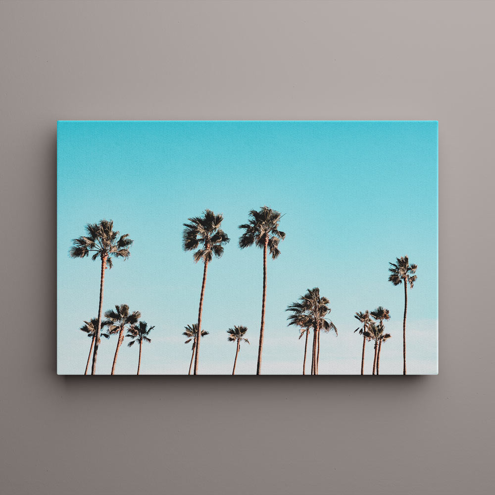 California Palms Canvas Art