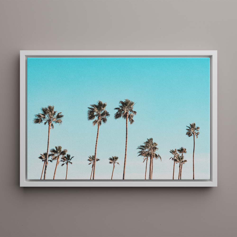 California Palms Canvas Art