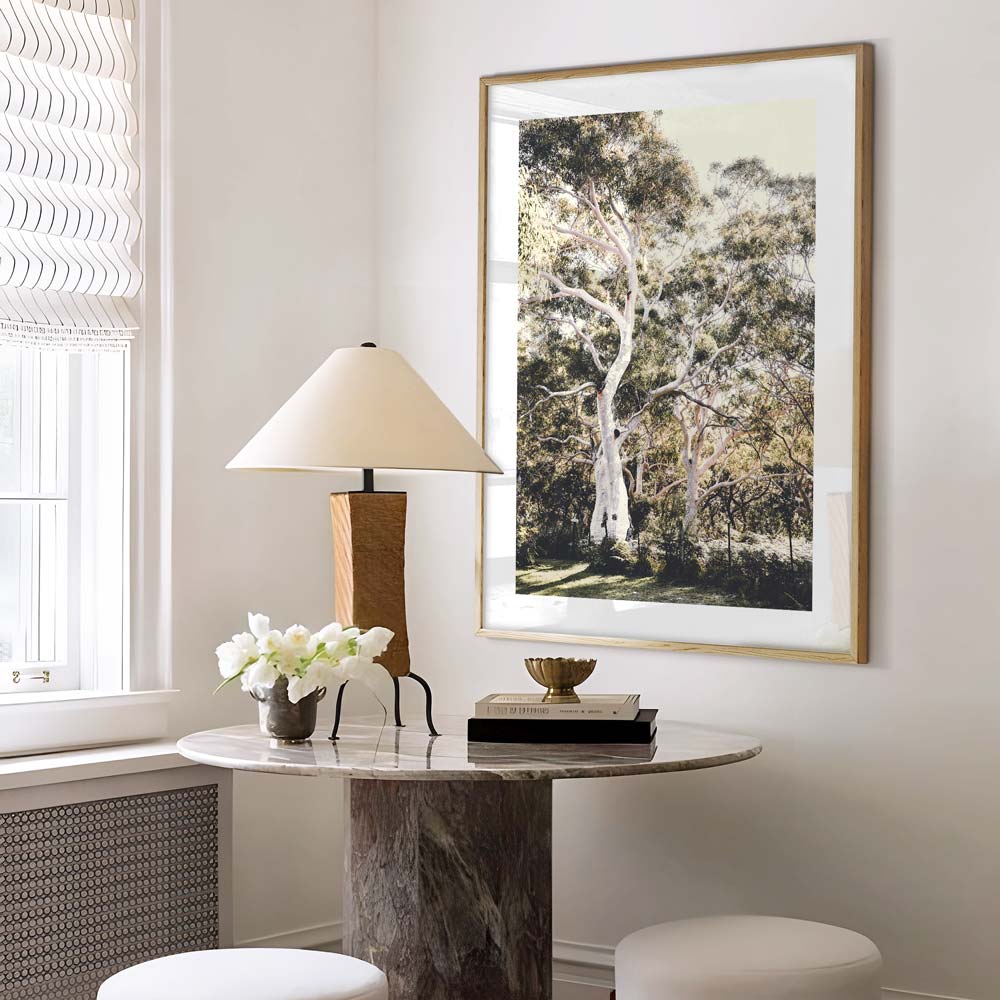 Framed photo of Australian trees - Oblongshop's wall art captures the serene beauty of Callala Bay, New South Wales, Australia.